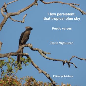 How persistent, that tropical blue sky