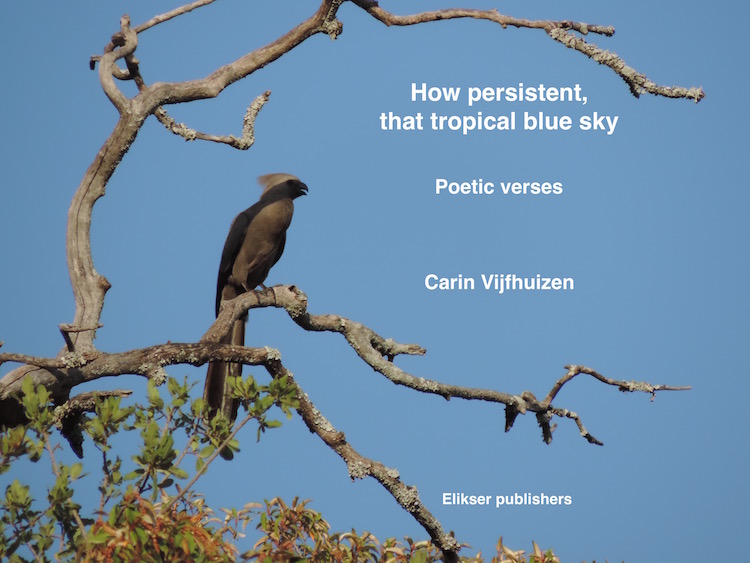 How persistent, that tropical blue sky